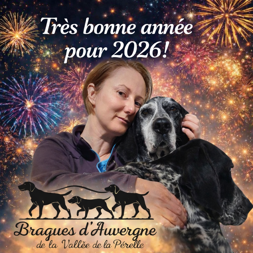 Belle année 2026 !