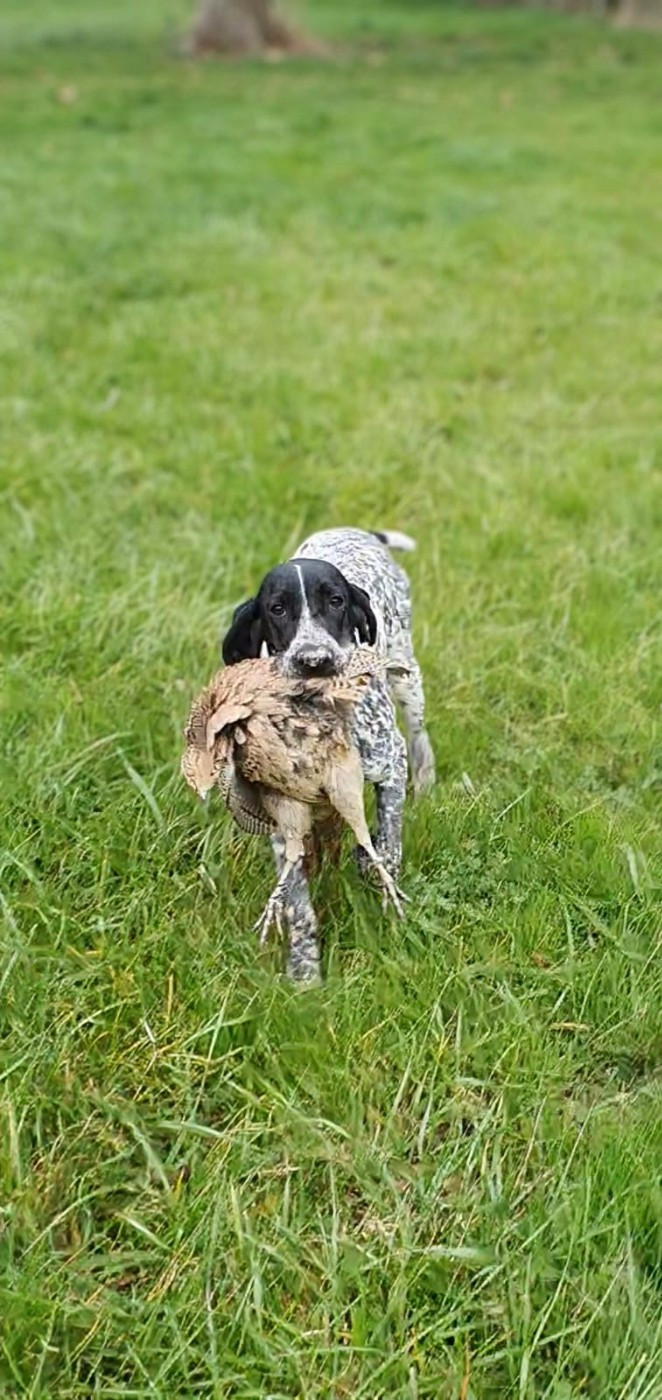 Ils nous donnent des nouvelles !